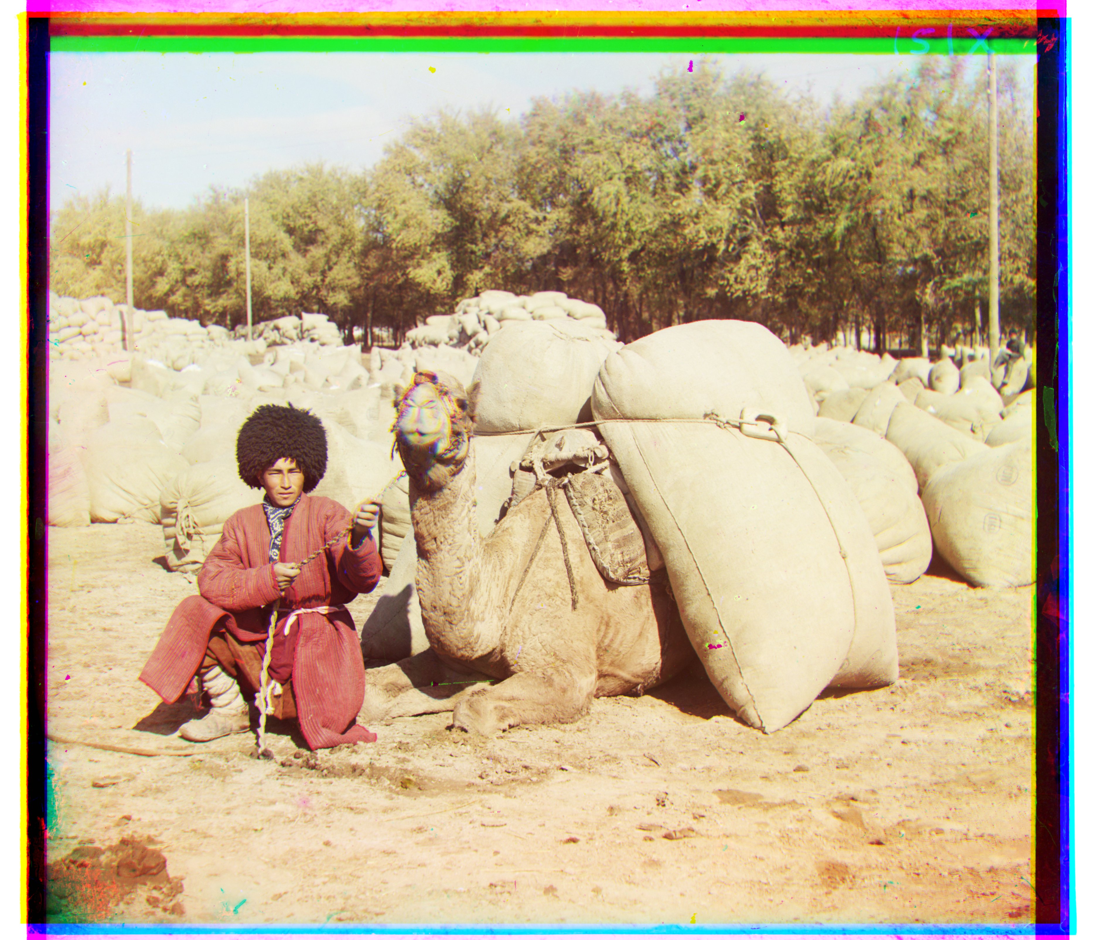 man_and_sacks NCC aligned