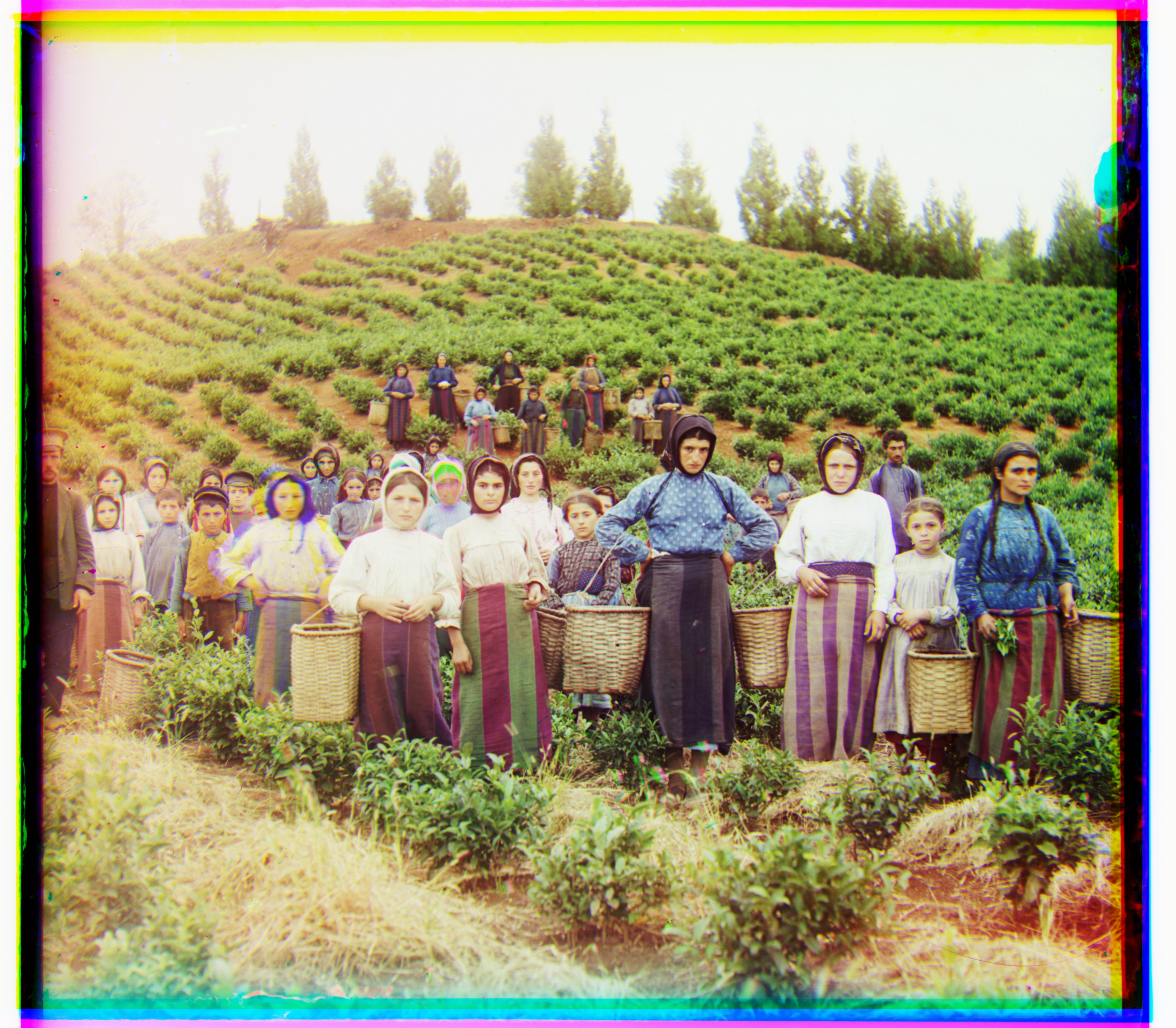 harvesters NCC aligned
