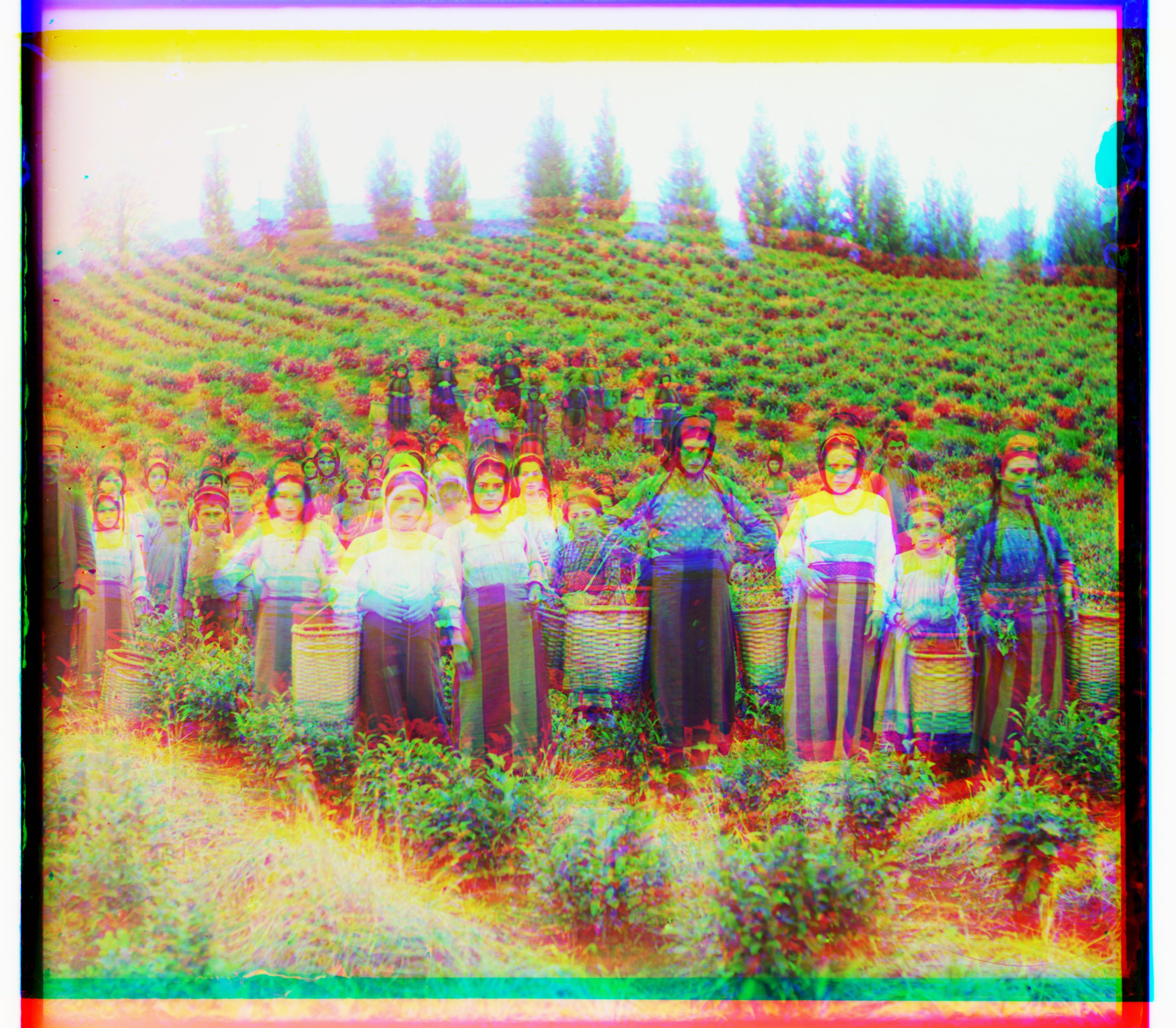 harvesters unaligned