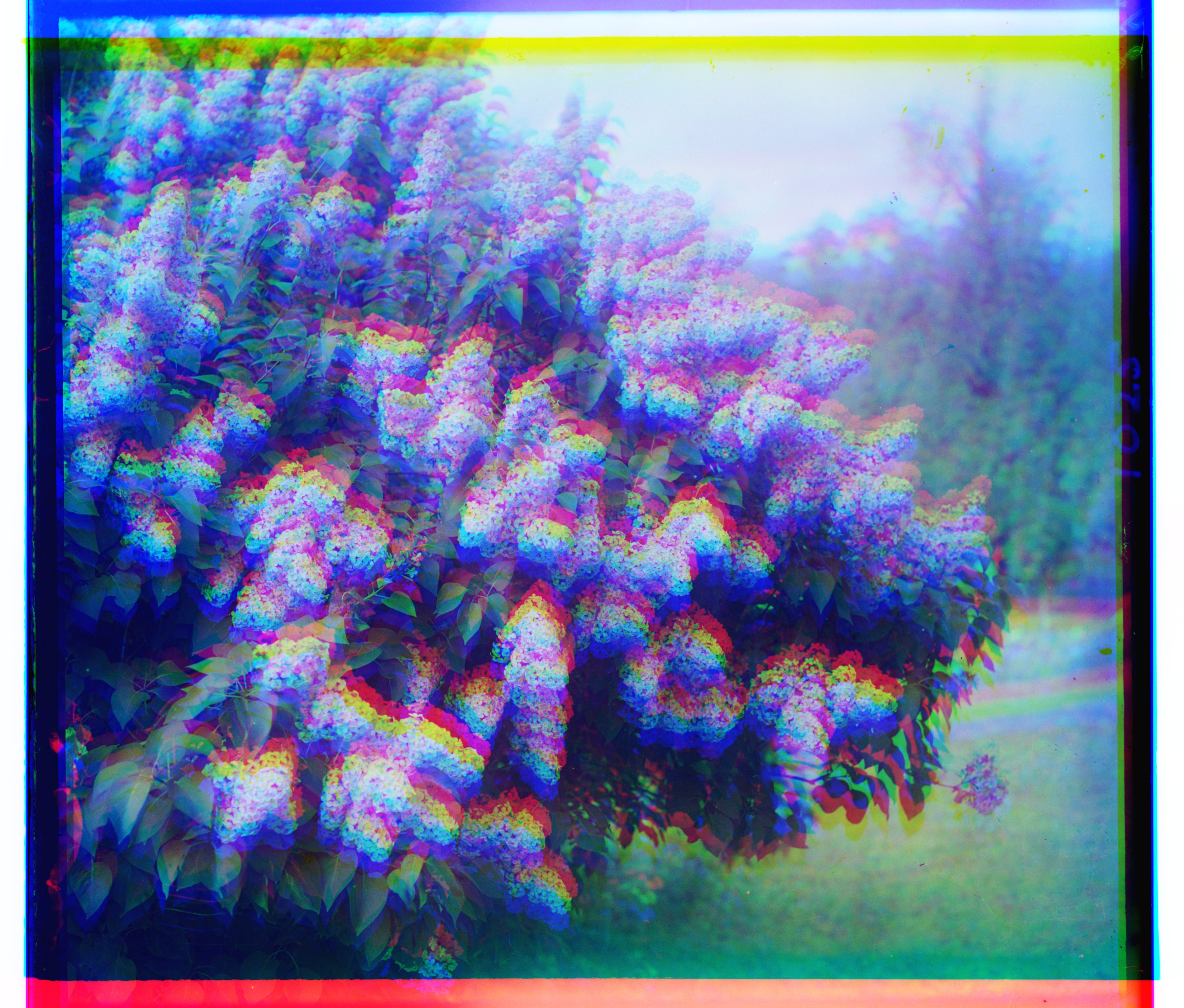 siren unaligned