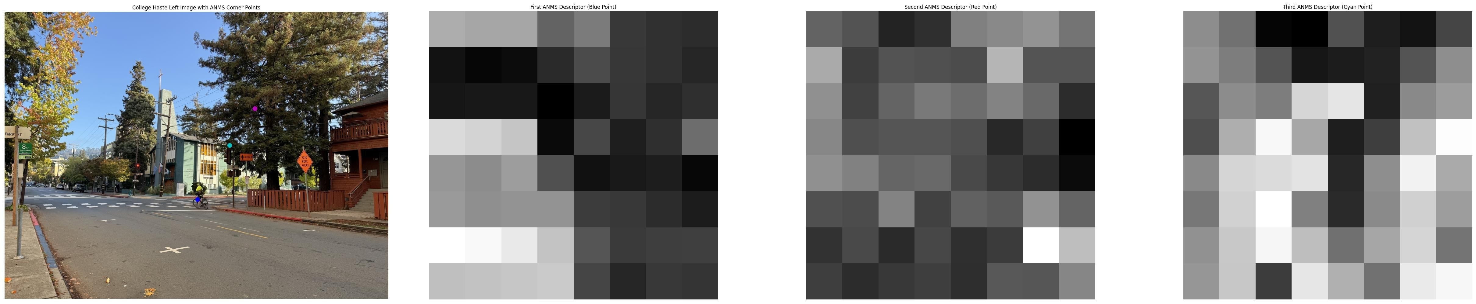 feature descriptors visualization haste