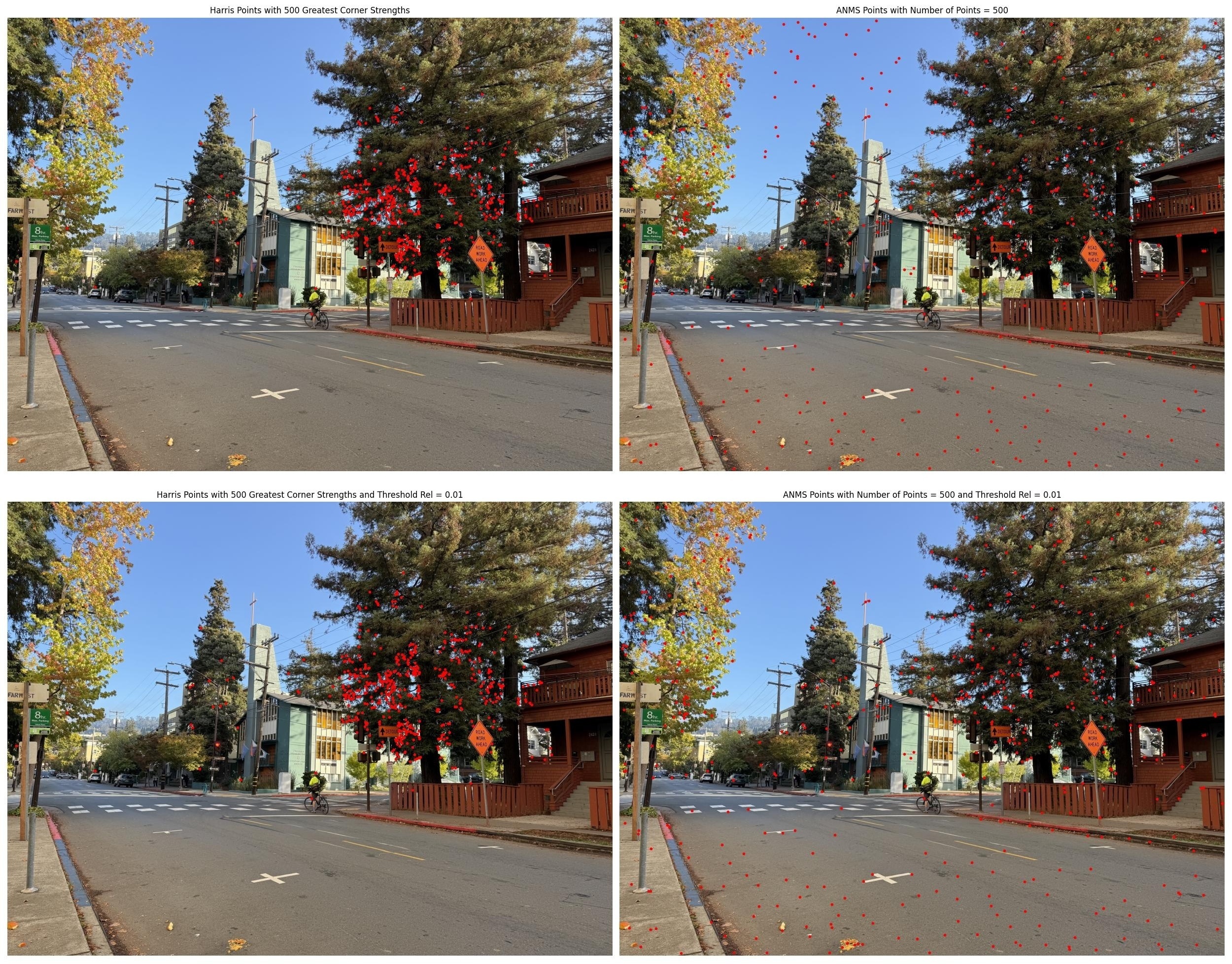 haste harris vs anms comparison