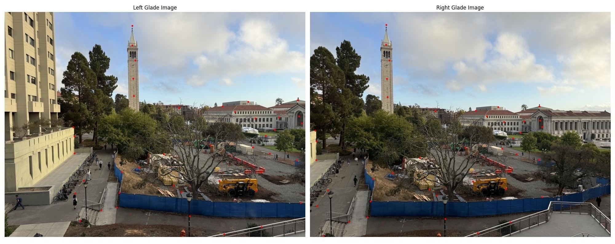 left vs right glade correspondences