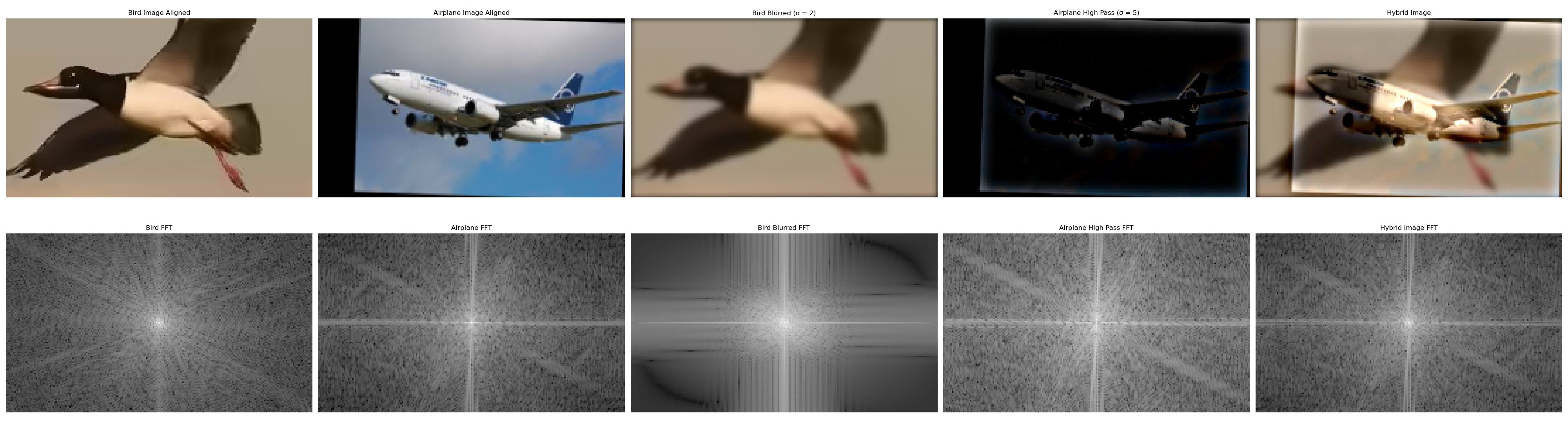 bird airplane hybrid