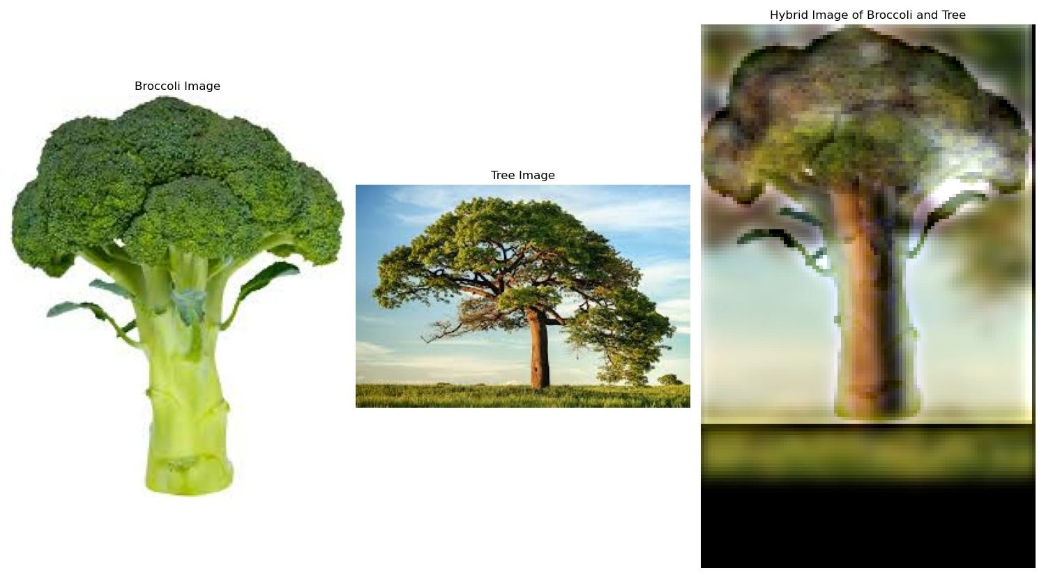 broccoli tree hybrid